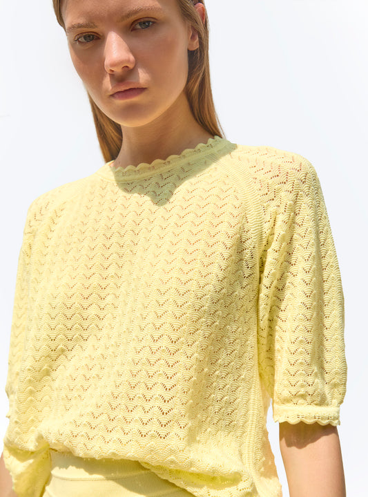 elbow-length-sleeved top in a pointelle knit